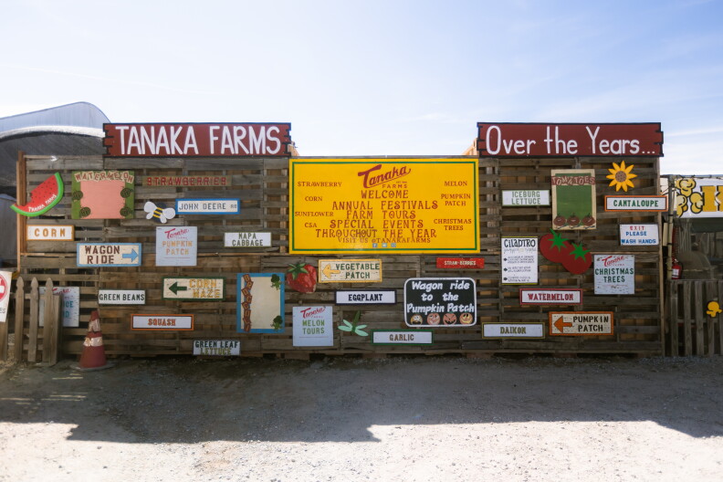 Source-feed image associated with How does a farm in Irvine end up hosting the first-ever Tanaka Day?