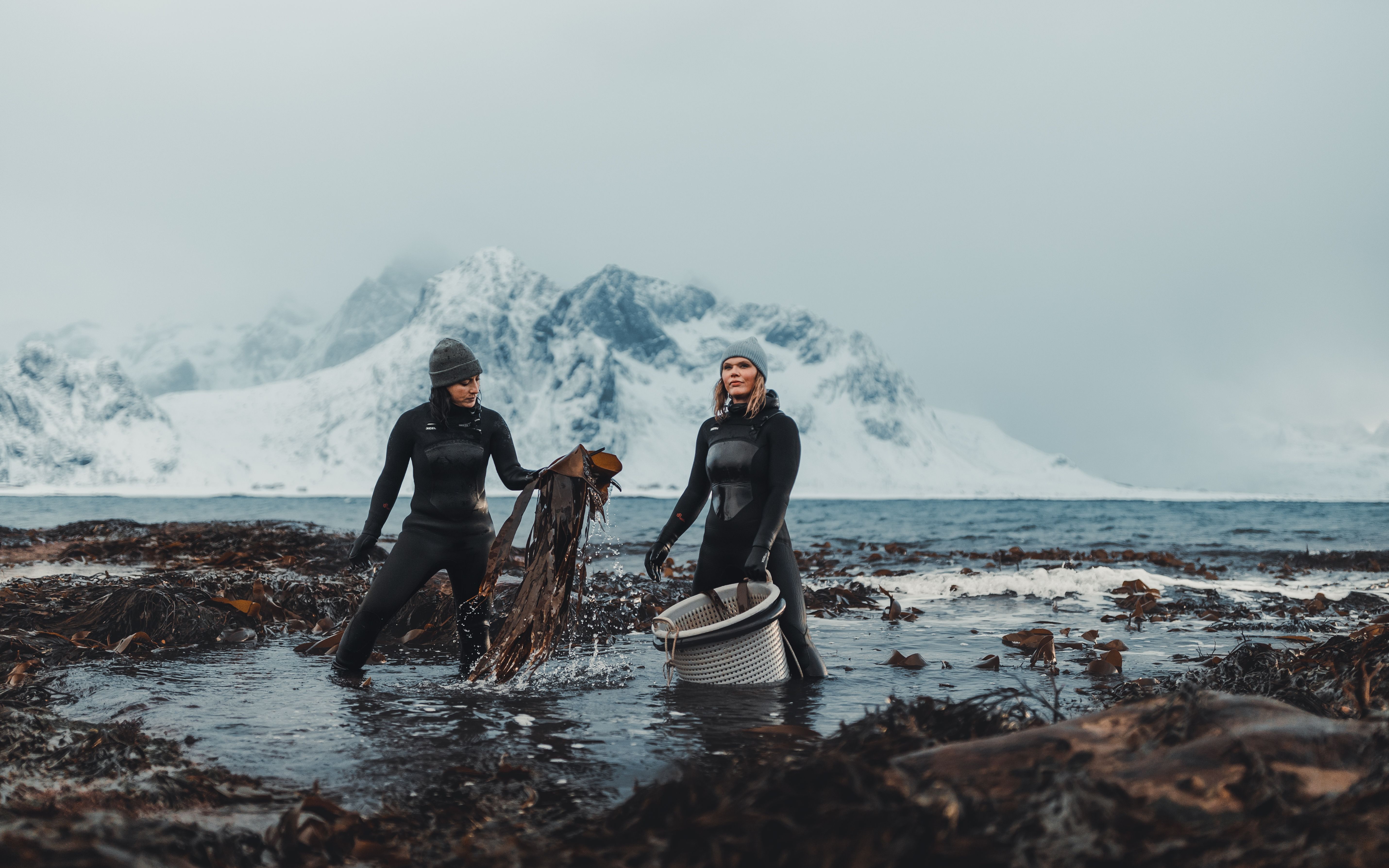 Source-feed image associated with Meet the Women Leading Norway’s Seaweed Revolution