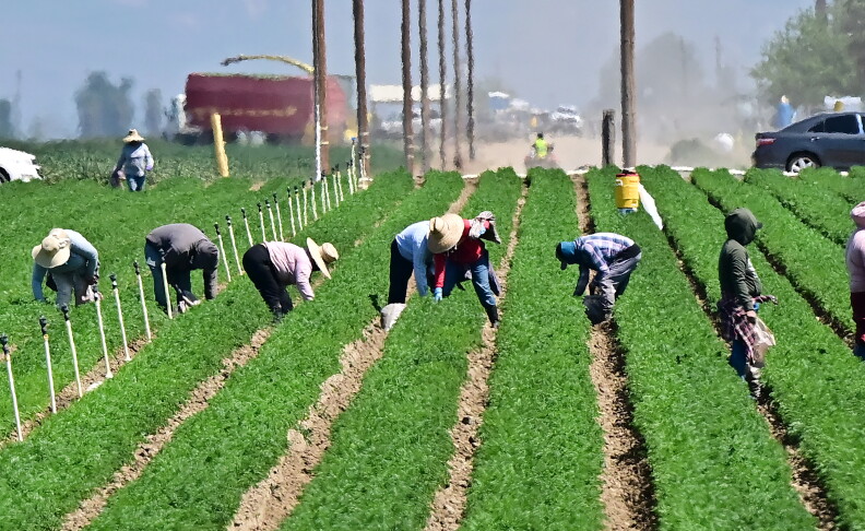 Source-feed image associated with For Central Valley farmworkers, a court order brought calm. Now it's on hold — and LA is watching