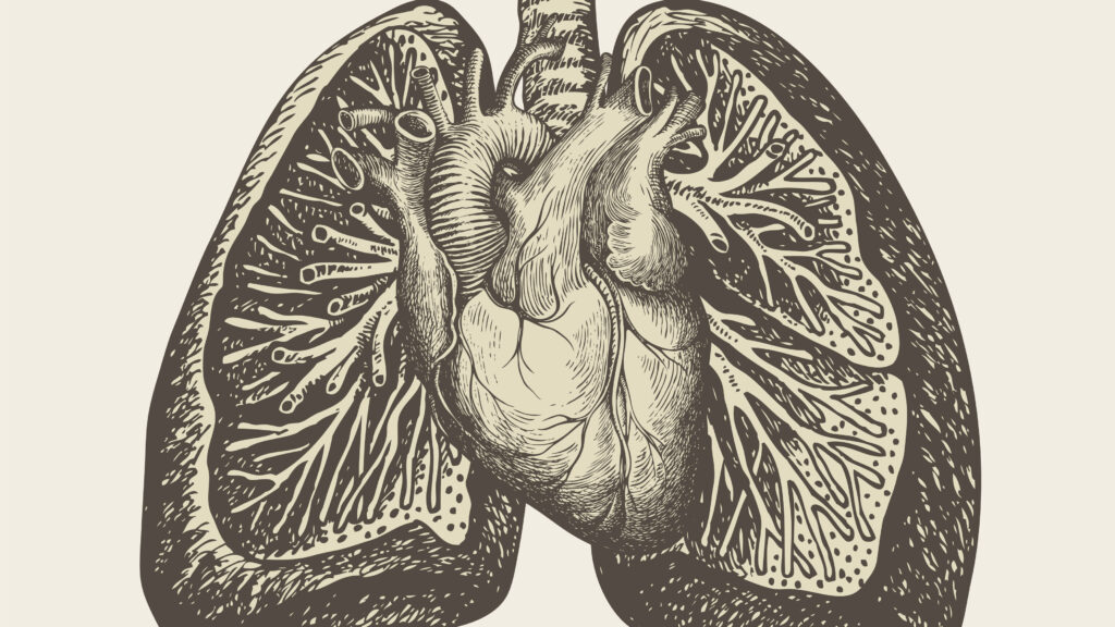 Source-feed image associated with What is pulmonary hypertension and why would a new GLP-1 help?