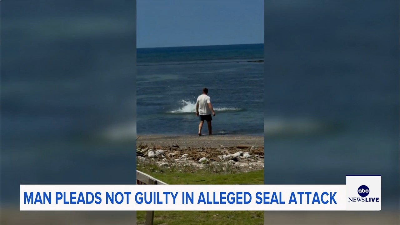 Source-feed image associated with Washington tourist pleads not guilty in Hawaiian monk seal rock case, barred from Hawaii beaches