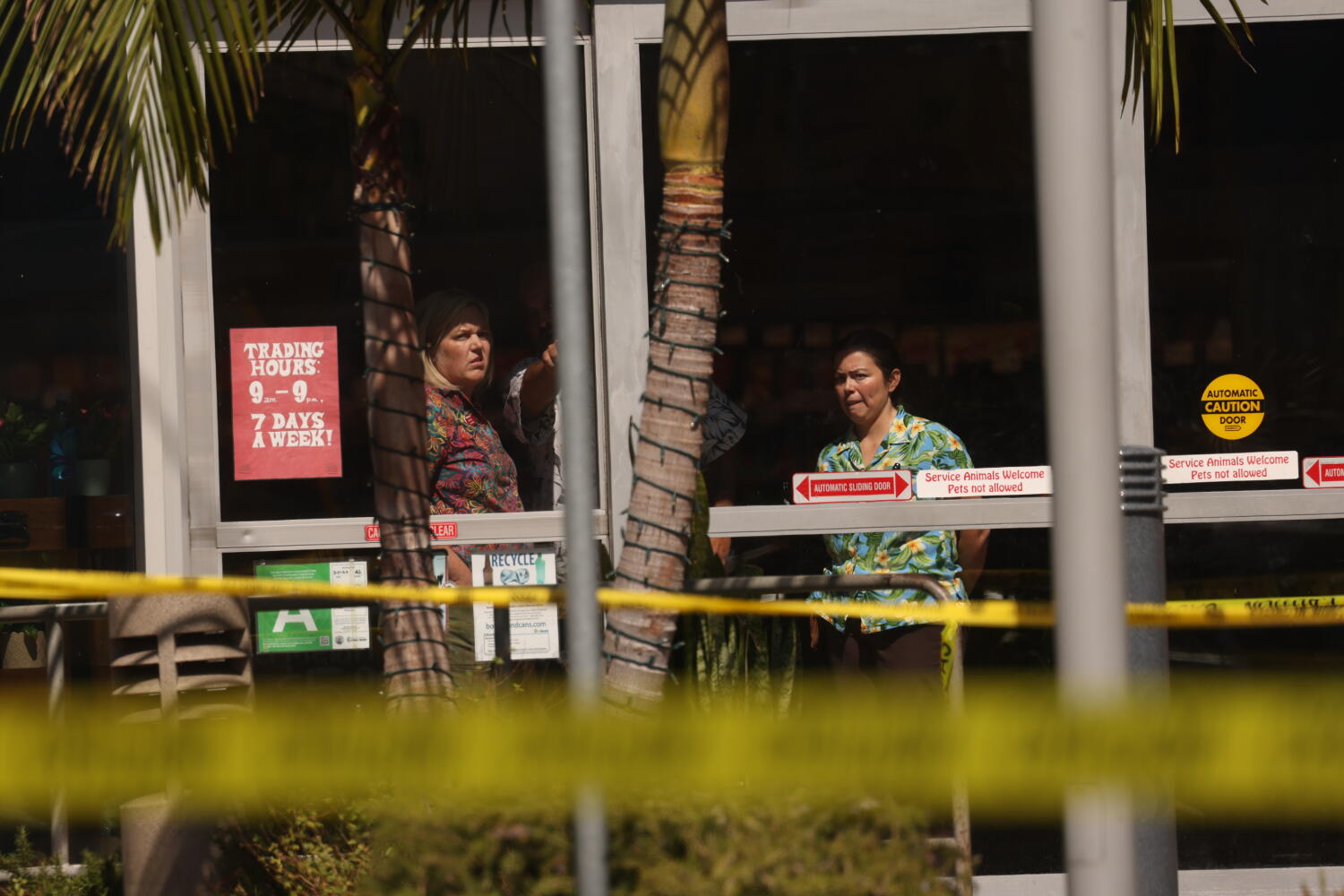 Source-feed image associated with 1 dead, 4 injured after driver, 91, crashes car in Trader Joe's parking lot, police say