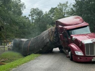 Source-feed image associated with Millions of honeybees escape into a Texas neighborhood after a semitrailer crash