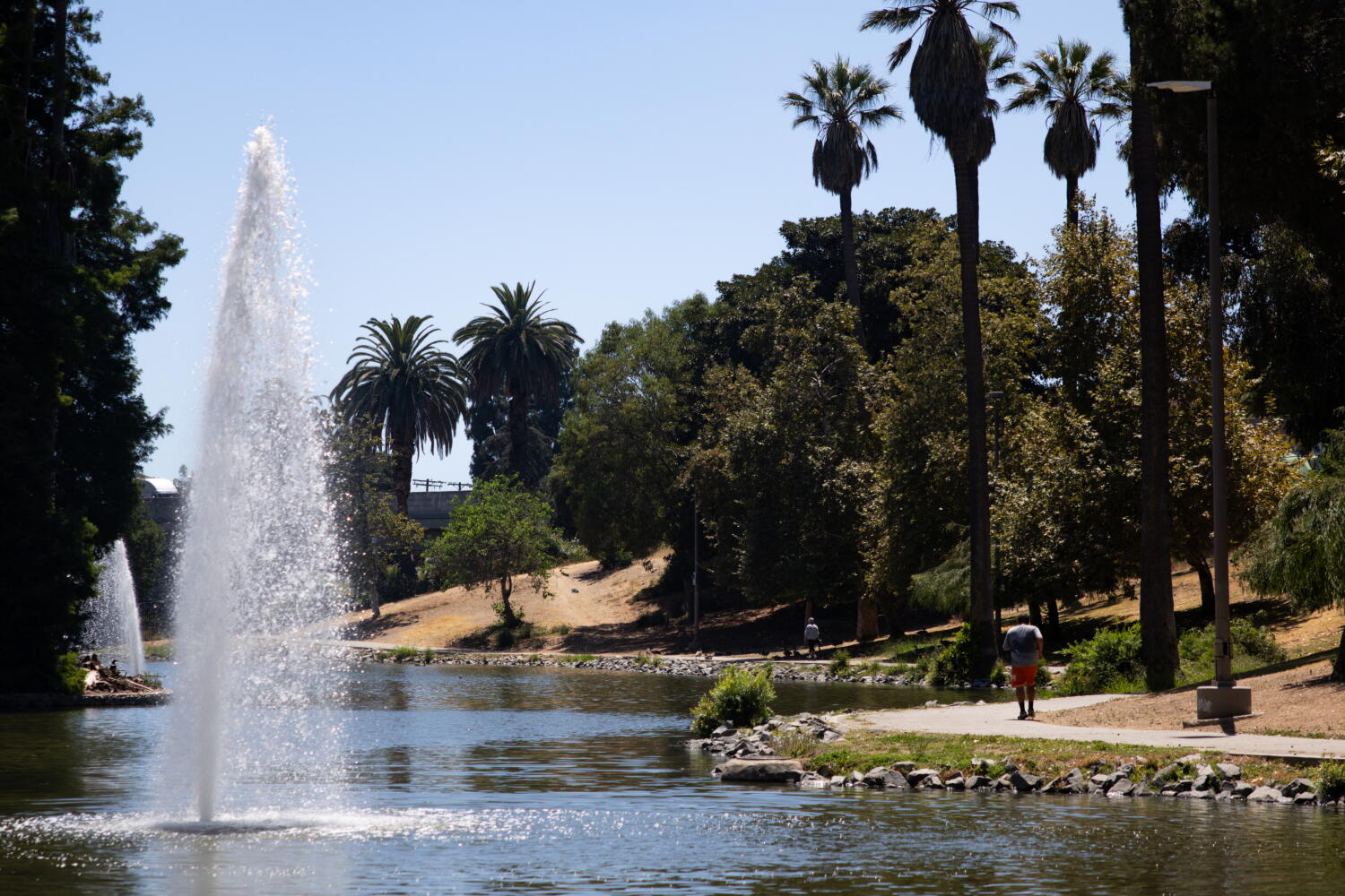Source-feed image associated with Body recovered from lake at Hollenbeck Park in Boyle Heights