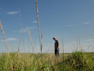 Source-feed image associated with Farmers turn to perennial grains as one solution to extreme weather