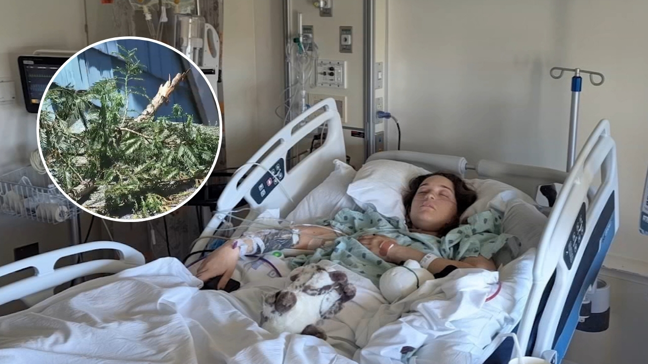 Source-feed image associated with North Bay woman paralyzed from waist down after tree limb crushes her