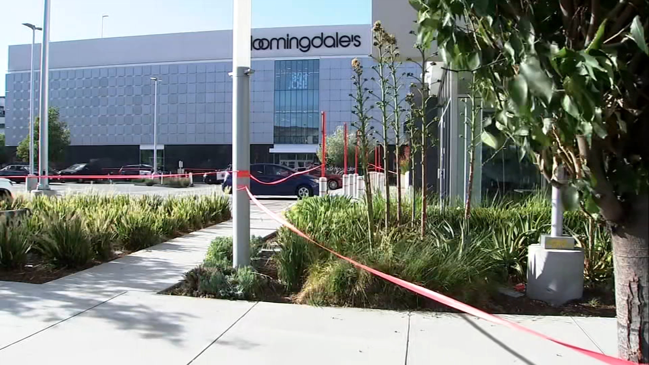 Source-feed image associated with Person injured in suspected road rage shooting outside Valley Fair mall, police say