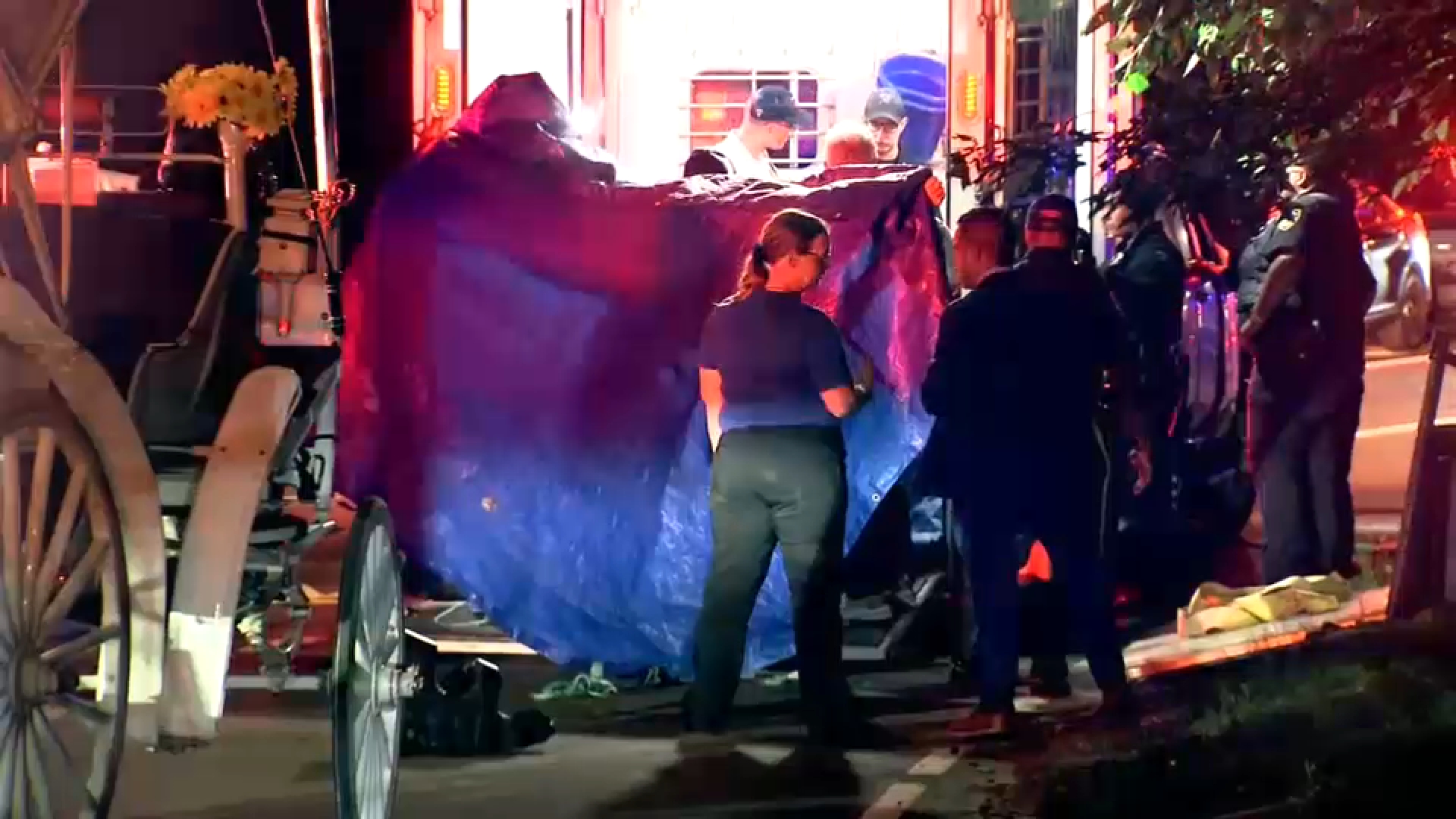 Source-feed image associated with 16-year-old carriage horse dies in New York City's Central Park